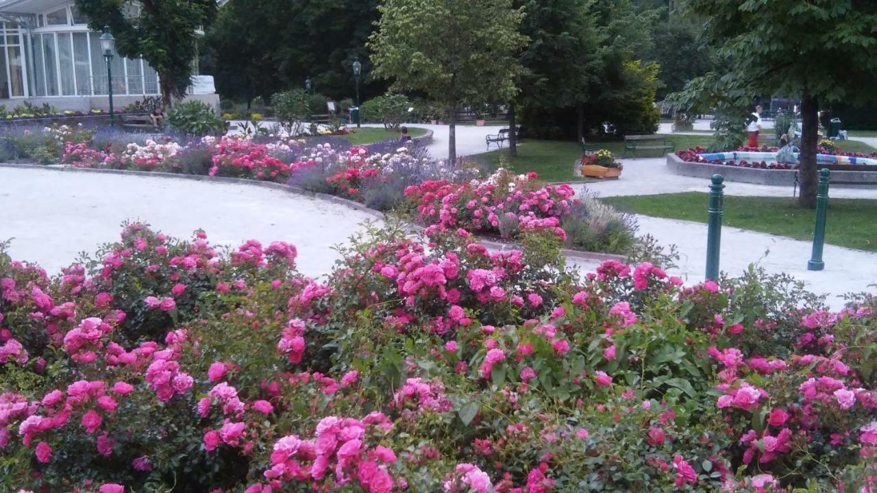Ferienwohnung "Kaiserblick" Bad Aussee Kültér fotó